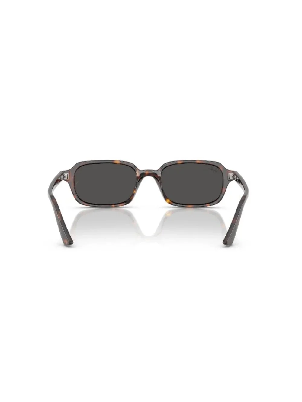 Ray-Ban new ray